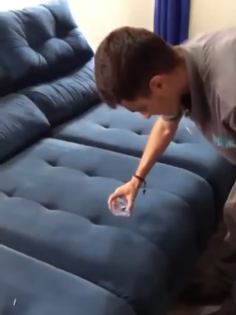Técnico da Fresh Clean aplicando solução de limpeza sobre sofá azul